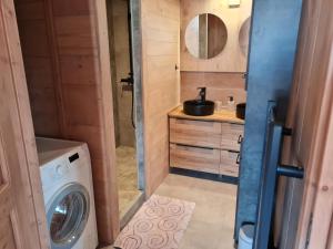 a bathroom with a washing machine and a sink at Gîte de l Auguille in Megève