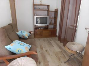 TV a/nebo společenská místnost v ubytování Casa De Campo Das Oliveiras