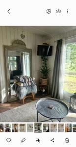 un salon avec un grand miroir et une table dans l'établissement Pipowagen Bijzonder Buitenaf met jacuzzi en sauna, à Vragender