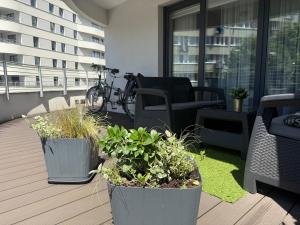 斯维诺乌伊希切Sun Towers EXspanse apartament 3 pokoje z parkingiem i tarasem的阳台上有两个大花盆，上面种着植物