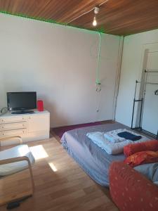 ein Schlafzimmer mit einem Bett, einem Fernseher und einer Couch in der Unterkunft 3 Bedroom Cozy Apartment 30min zu Hamburg in Buchholz in der Nordheide