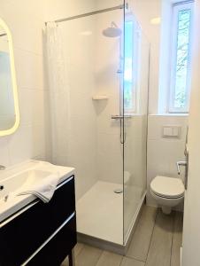 a bathroom with a shower and a sink and a toilet at Calme sérénité et lumière in Grenoble