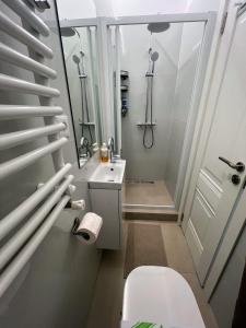 a bathroom with a shower and a toilet and a sink at Apartament Atelier in Cluj-Napoca