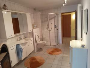a bathroom with a shower and a toilet and a sink at Ferienwohnung Brigitte in Volkach +4 photos