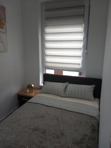 - une chambre avec un lit et une fenêtre avec des stores dans l'établissement Apartman Anja Divcibare, à Divčibare