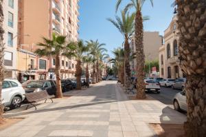 a city street with palm trees and cars parked at LC Apartaments Trafalgar Puerto & Playa in Grao de Castellón