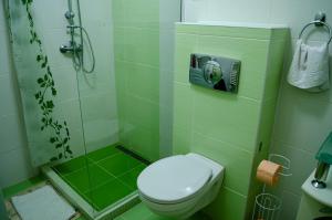 a green bathroom with a toilet and a shower at Casa Rehner in Sighişoara +29 photos