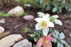 Gallery image of FJ4000-Kirke-Hyllinge-Smedegardsvej-5-C in Kirke-Hyllinge