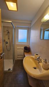 a bathroom with a sink and a shower at Panorama Dolomiti in San Vigilio Di Marebbe +47 photos