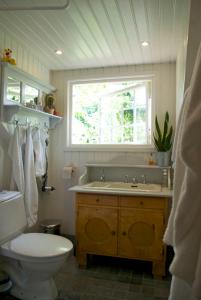 a bathroom with a toilet and a sink and a window at Trolleberg Bed & Breakfast in Veberöd