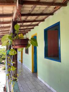 Zahrada ubytování Pousada Brisa do Mar