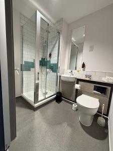 a bathroom with a shower and a toilet and a sink at Caban, Pendine Sands in Pendine