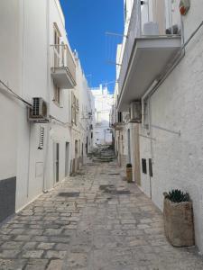 an alley with white buildings and a cobblestone street at Allegra's Guest House in Ostuni