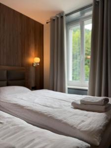 Gallery image of Hotel Restaurant du Moulin in Fleurier