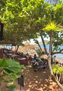 クイニョンにあるHaven Boutique Hotel Quy Nhonのテーブルと椅子と木と水のあるビーチ +160枚の写真