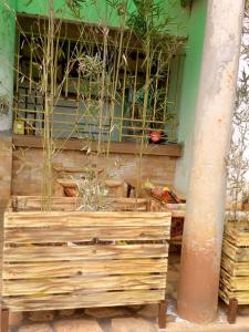 Fotografie z fotogalerie ubytování Nnalubaale Resort Cottages v destinaci Jinja