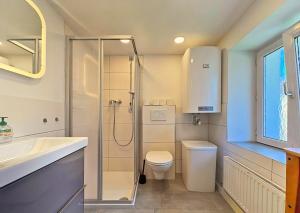 a bathroom with a shower and a toilet and a sink at City Center Old Town Studio in Innsbruck