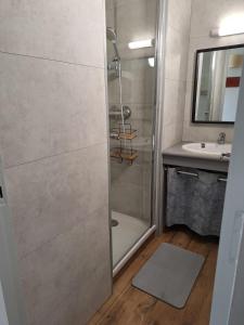 a bathroom with a shower and a sink at BAYONNE Piscine Vue Montagnes in Souraïde