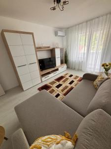 a living room with a couch and a television at RH Mures Stay in Târgu-Mureş