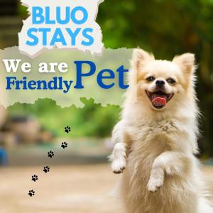 a dog jumping in the air with the words blue stays we are friendly pet at BluO Stylish 2BHK New Town Rajarhat - Skyline View Condo in Kolkata +12 photos