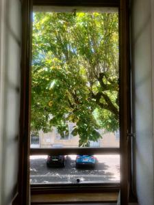 a view of a tree from a window at Appartement minimaliste et cozy in Cajarc +1 photo