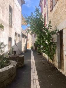 an alley with a tree in the middle of a building at Appartement minimaliste et cozy in Cajarc
