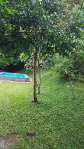 En have udenfor The Writer's Cottage