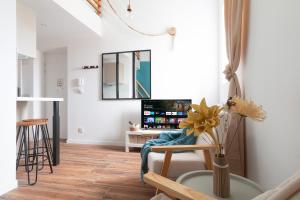 Μια τηλεόραση ή/και κέντρο ψυχαγωγίας στο Le Soyeux - 100m de la Gare & parking privé +20 φωτογραφίες