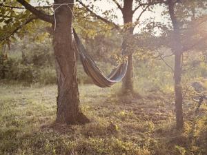 a hammock hanging from a tree in a forest at Jelena in Kutná Hora
