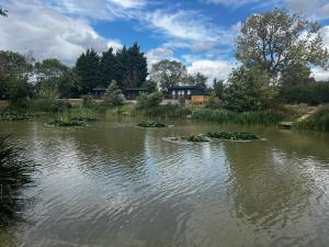 a pond with green plants in the water at Shearsby Valley Lakes Accommodation in Leicester +75 photos
