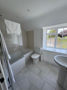 a white bathroom with a toilet and a sink at Woodward Farm House in Appleton le Moors