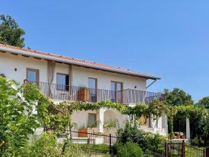 a house with vines on the side of it at Vipava View Studio Apartments in Šempas