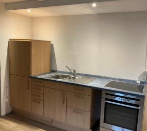 een keuken met een spoelbak en een aanrechtblad bij Pendler Montagewohnung Kandern, Lörrach, Basel D,CH, FR 