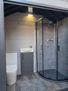 The Pod Quiet Sun Patio Fab Steam &Countryside Views في ويبورن: حمام مع دش ومرحاض ومغسلة +134 صورة