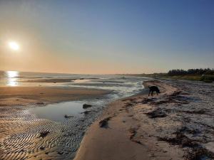 Gallery image of 6 person holiday home in Allingåbro-By Traum in Allingåbro