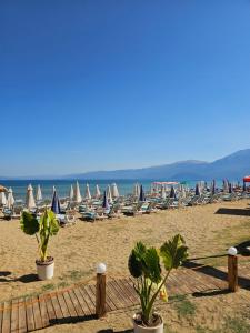 Una playa con sillas y sombrillas y el océano. en Leka Guest house, en Pogradec