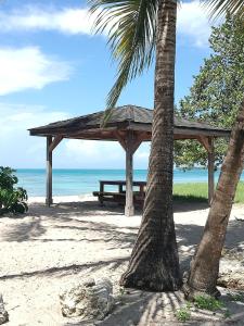 a picnic shelter on the beach with a palm tree at Villa Bod Lanmou in Port-Louis