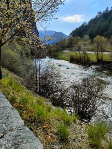 a river next to a field with trees at CHARMING studio proche centre in Castellane