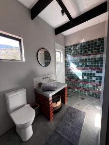 une salle de bain avec toilettes, lavabo et douche dans l'établissement Keurkloof Farm villas off R62, à Plathuis 31 autres photos