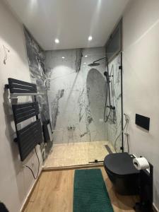 a bathroom with a shower with a toilet and a green rug at Imperial Rabat - MAKE IT YOURS in Rabat