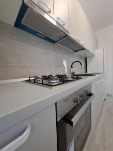 Η κουζίνα ή μικρή κουζίνα στο Cicoarei Apartment