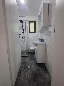 Ένα μπάνιο στο Cicoarei Apartment