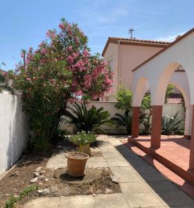 Κήπος έξω από το Canétoise Hacienda +26 φωτογραφίες