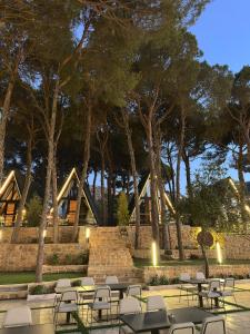 Fotografie z fotogalerie ubytování Pine Straw Douma v destinaci Douma