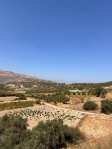 vistas a un campo con arbustos y árboles en Porti villas, en Áno Moúlia