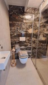 a bathroom with a shower and a toilet and a sink at Camino in Vrouwenpolder +22 photos