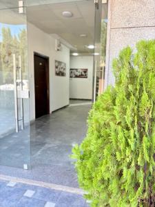 a green bush in a hallway of a building at Al safa in Amman