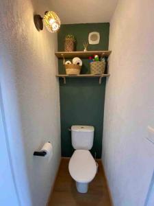 a bathroom with a white toilet and a green wall at Appartement T2 vue sur Pyrénées in Germ