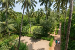 カラングートにあるTravelerz Homesのヤシの木のある公園を歩く二人 +17枚の写真