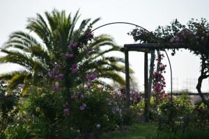 Κήπος έξω από το Estancia El Cangue